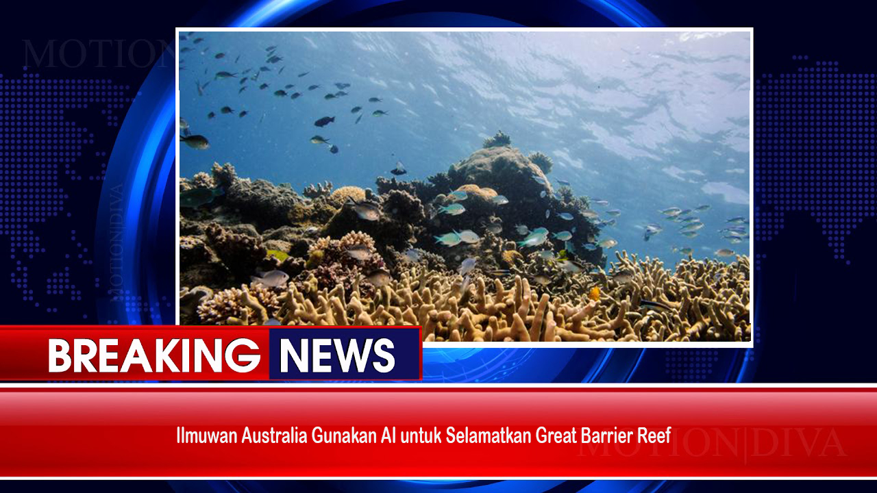 Ilmuwan Australia Gunakan AI untuk Selamatkan Great Barrier Reef